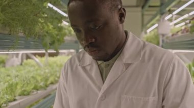 Beyaz labaratuar önlüklü, dikey siyah erkek çiftçi, bitkiler ve sebzeler yetiştirmekle dijital tablet arasında duruyor.