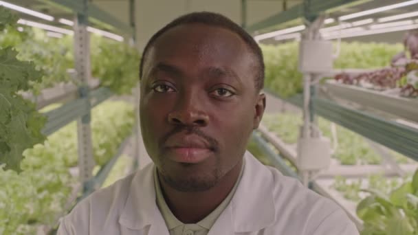 Портрет Усміхненого Молодого Чорного Чоловіка Агроінженера Який Дивиться Камеру Працює — стокове відео