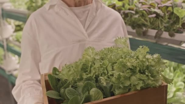 Nakloněný Pomalý Portrét Bělošky Zemědělské Techniky Držící Dřevěnou Krabici Špenátem — Stock video