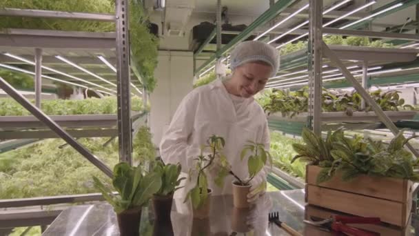 Medium Shot Caucasian Female Vertical Farmer Protective Clothing Planting Green — Stock Video