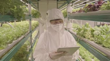 Dikey çiftlikte büyüyen bitkileri incelerken dijital tablet kullanan koruyucu tulumlu iki profesyonel tarım mühendisinin orta boy fotoğrafı.