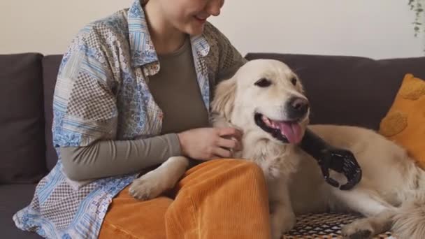 Protez Kollu Kucağında Sevimli Beyaz Labrador Olan Parlak Oturma Odasındaki — Stok video