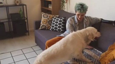 Beyaz, kısa mavi saçlı, yapay kollu, neşeli Labrador Retriever 'la oynayan bir kızın orta boy fotoğrafı.