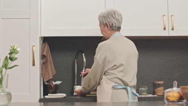 中等后视率灰色头发的亚洲祖母站在厨房水槽边洗碗做家务活 — 图库视频影像