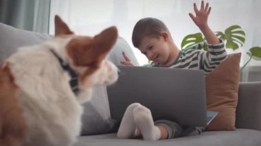 Komik 6 yaşında, beyaz çocuk dizüstü bilgisayarda oynarken şirin bir Corgi köpeğiyle kanepede dinleniyor.