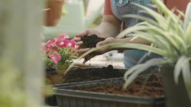 Tanınmayan kadın bahçıvan kot giymiş güneşli bir günde bitki yetiştirme yerinde çalışırken elleriyle toprağı gevşetiyor.