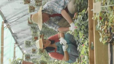 Son sınıf öğrencisiyle yetişkin kızının sıcak yaz gününde bitki yetiştirme yurdunda birlikte çalışmalarının dikey çekimi.