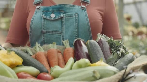 Miringkan Diri Dari Gadis Petani Timur Tengah Dengan Sekotak Sayuran — Stok Video