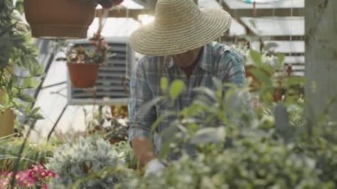 Hasır şapkalı yaşlı bir adamın plastik konteynırdaki toprağı gevşetip sıcak yaz gününde büyük bir fabrikada çalışırken orta boy fotoğrafı.