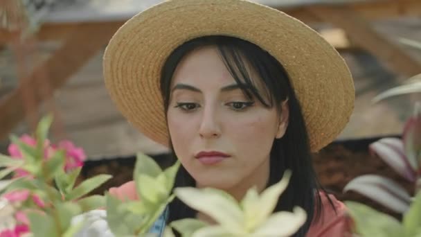 Mellkas Fel Fiatal Csinos Közel Keleti Kertész Használó Olló Miközben — Stock videók