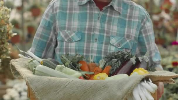 身着格子衬衫 手持一盒木箱新鲜有机蔬菜沿着苗圃行走的无法辨认的男性农民的剪影 — 图库视频影像