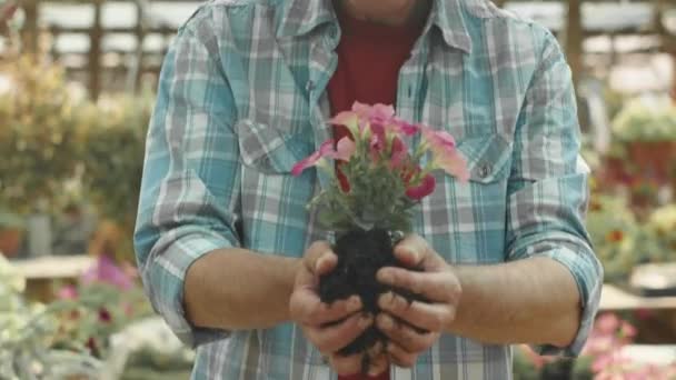 여름에 정원에서 카메라에 페투니아 보여주는 코카서스 남자의 초상화 — 비디오