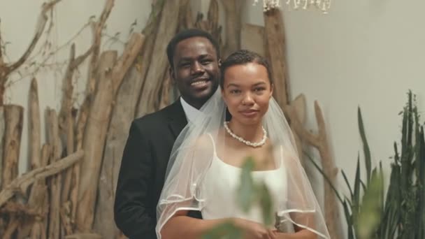 Genç Zarif Afro Amerikan Çiftin Orta Boy Portresi Düğün Gününde — Stok video