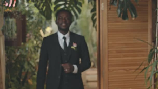 エレガントな黒いスーツで若いハンサムなアフリカ系アメリカ人のグロムと結婚式の前に生きている植物と本物のスタジオでカメラをポーズポケットにミディアム肖像画 — ストック動画