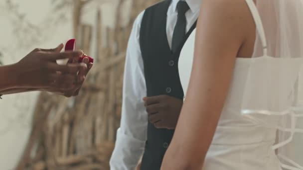 Cropped Shot Unrecognizable Black Marrying Couple Exchanging Wedding Rings Ceremony — Stock Video