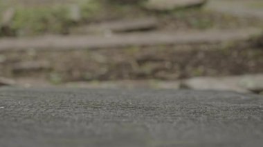 Mezarlıktaki soğuk granit mezar taşına güzel beyaz güller koyan tanınmayan kederli kadının yakın çekimi.