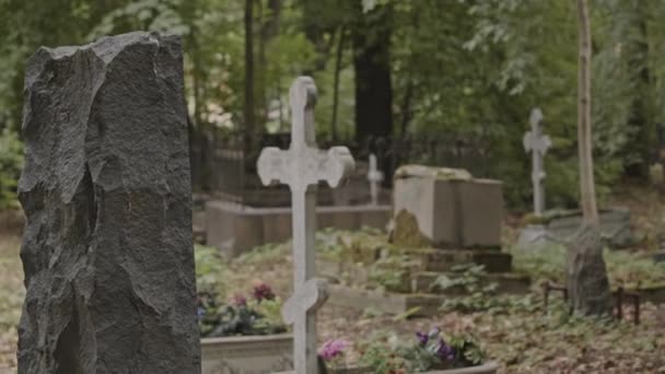 成熟したアジアの女性 長いトレンチコート 墓地の墓地に沿って歩いて日中 — ストック動画