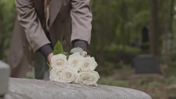 Przycięte Zdjęcie Nierozpoznawalnej Kobiety Kładącej Bukiet Białych Róż Nagrobku Podczas — Wideo stockowe