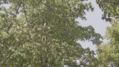 Mezarlıktaki güneşli yeşil ağaçların altında tek başına duran eski haç heykelinden vurulan hiç kimse eğilmesin.