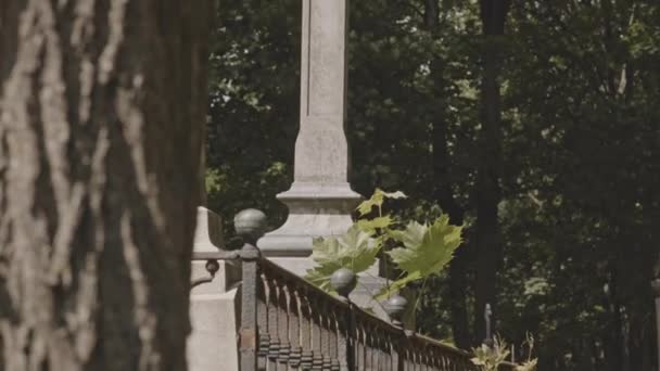People Low Angle Shot Tall Cross Monument Lit Sunlight Cemetery — Stock Video