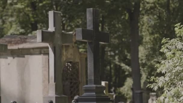People Shot Three Cross Monuments Sunlight Daytime Cemetery — Stock Video