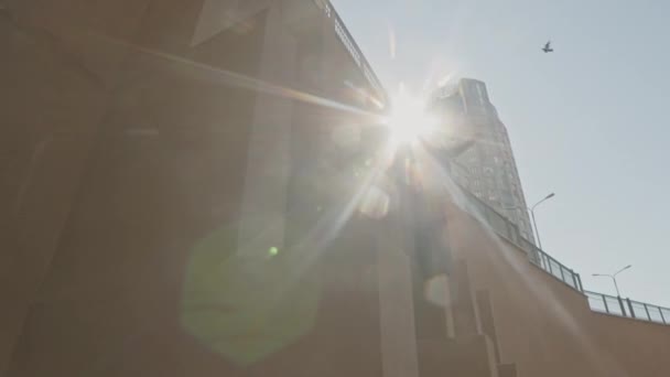 Açık Havada Güneşli Bir Sabahta Serbest Koşan Parka Giden Genç — Stok video