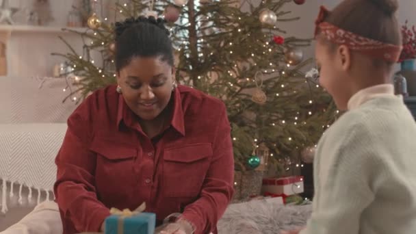 여성과 그녀의 채팅의 상자에 크리스마스 선물을 아늑한 아파트에서 크리스마스 트리에 — 비디오