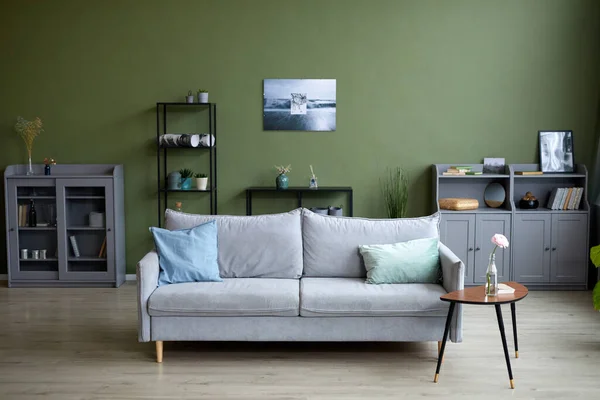 Image Horizontale Salon Moderne Avec Canapé Confortable Milieu Table Basse — Photo