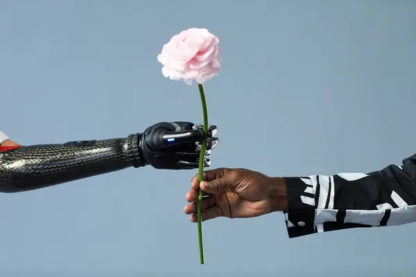 Close-up of African man giving flower to woman with prosthetic arm isolated on blue background