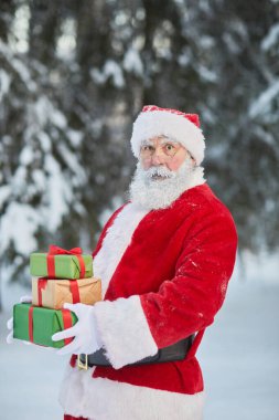 Geleneksel Noel Baba 'nın belindeki portrede kış ormanlarında hediyeler var.