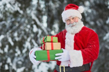 Geleneksel Noel Baba 'nın belindeki portre, kış ormanlarında hediyeler taşıyor ve kameraya gülümsüyor.