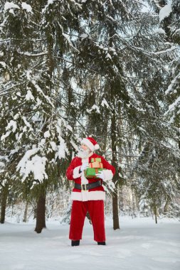 Geleneksel Noel Baba 'nın dikey portresi peri masalı kış ormanlarında hediyeler tutuyor.