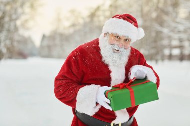 Geleneksel Noel Baba 'nın hediye kutusundaki belden yukarı portresi ve kış ormanlarında haylaz bir şekilde kameraya bakmak, boşluğu kopyalamak