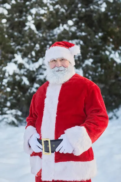 Verticaal Portret Van Traditionele Kerstman Kijkend Naar Camera Het Winterbos — Stockfoto