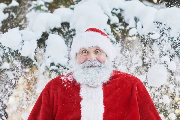 Portret Van Traditionele Kerstman Buiten Winter Bos Kijken Verrast Met — Stockfoto