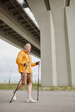 Şehir merkezinde direkli İskandinav yürüyüşü yapan sportif olgun bir adamın dikey portresi.