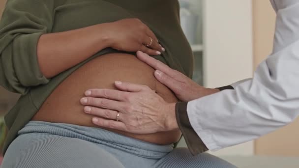 Oříznutý Záběr Nerozpoznatelné Ženy Gynekolog Palpating Břicho Těhotné Ženy Dělá — Stock video