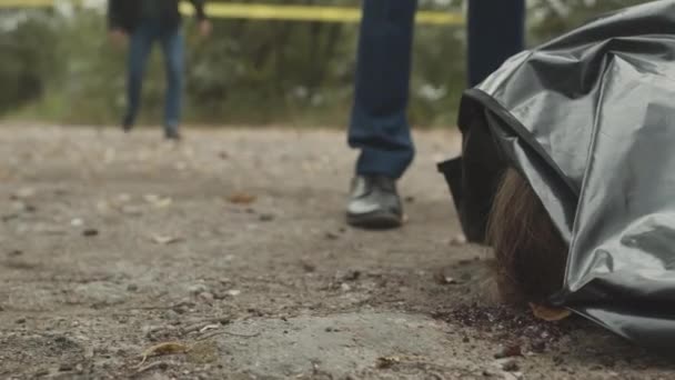 一小部分身份不明的侦探和他的同事一起站在犯罪现场 尸体上铺着黑色塑料袋 躺在公园外面的地面上 — 图库视频影像