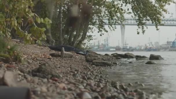 没有人躺在石堤上用黑色塑料袋拍摄尸体的全景来说明谋杀现场 — 图库视频影像