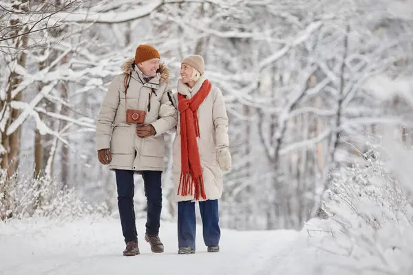 Ganztägiges Porträt Glücklicher Senioren Die Einen Spaziergang Winterwald Genießen Und — Stockfoto