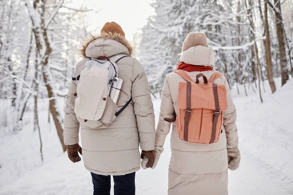 Back view portrait of adult couple with backpacks enjoying walk in winter forest and holding hands