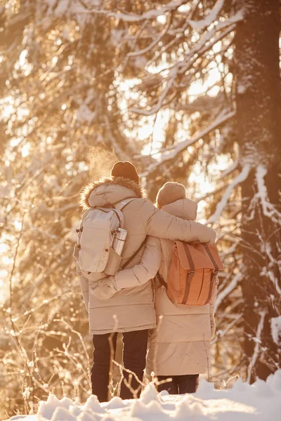 Back view of adult couple enjoying hike in winter forest and embracing in sunlight