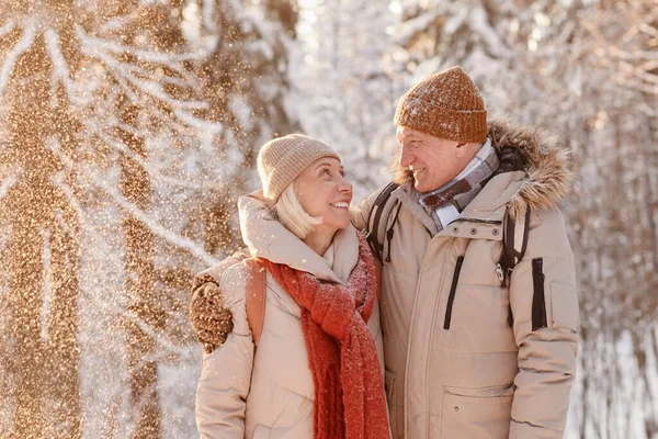 在冬日的森林里挂起一对有情的老夫妇的画像 雪下得很大 — 图库照片