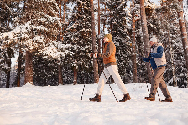 Side view of active senior couple enjoying Nordic walk with poles in winter forest, copy space