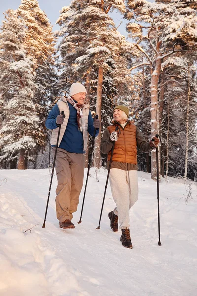 Vertical Full Length Portrait Active Senior Couple Walking Poles Beautiful Royalty Free Stock Images