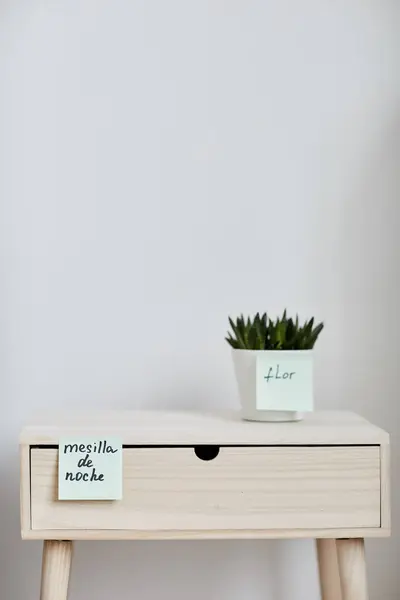 Foreign words written on notepapers stuck on small white flowerpot with green domestic plant and wooden bedside table standing by wall