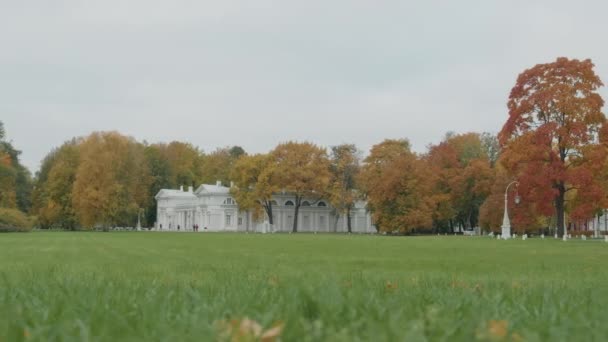 People Wide Shot Fresh Green Lawn Red Yellow Autumn Trees — Stock Video