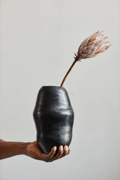 Minimal close up black male hand holding dark ceramic vase with exotic flower, wabi sabi design
