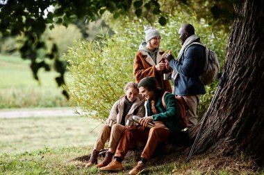Çeşitli dört arkadaş grubu ormanda yürüyüş sırasında kısa bir atıştırma molası veriyor.