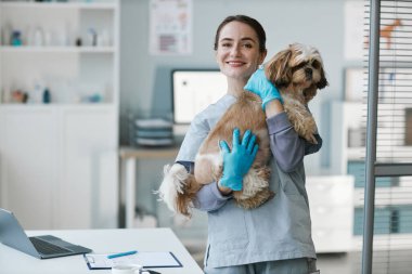 Güzel Yorkshire Teriyeri 'yle genç başarılı veteriner modern kliniklerin çalışma yerinde kameraya bakıyor.